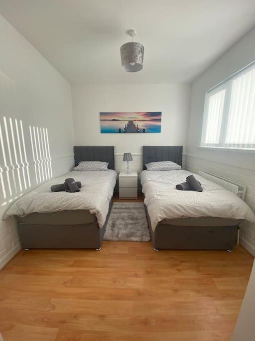 Modern Two Bed House Close To City Centre 벨파스트 외부 사진